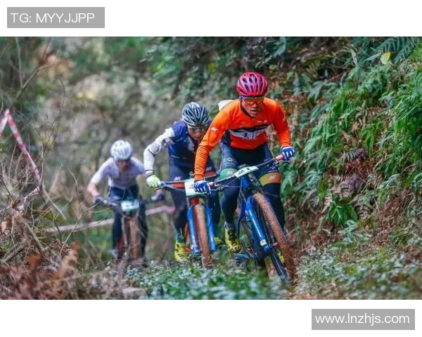 运动数据分析揭示上海极限运动队团队协作表现与体育竞技的关系